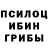 Псилоцибиновые грибы Cubensis Gronskyi UA