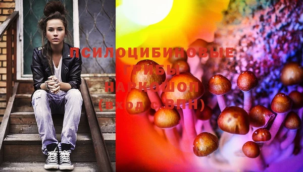 ECSTASY Алексин