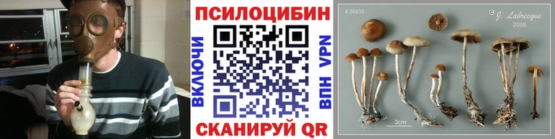 Галлюциногенные грибы мухоморы  OMG вход  Петровск-Забайкальский 